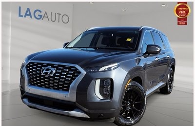 2020 Hyundai Palisade Luxury — photo 1