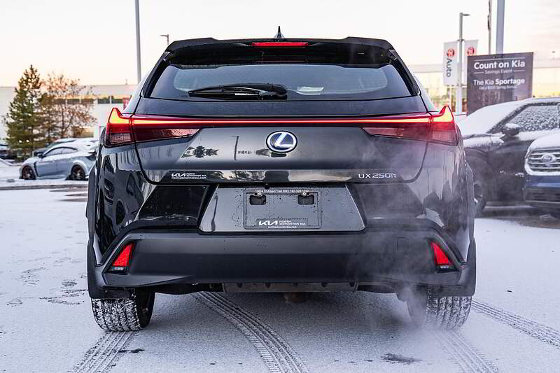 2019 Lexus UX 250H AWD — photo 3